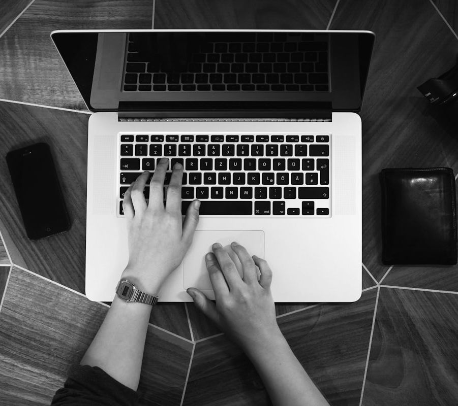 Website Designer in Noida